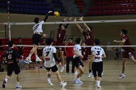 滑雪登山——世锦赛：垂直竞速女子组决赛赛况