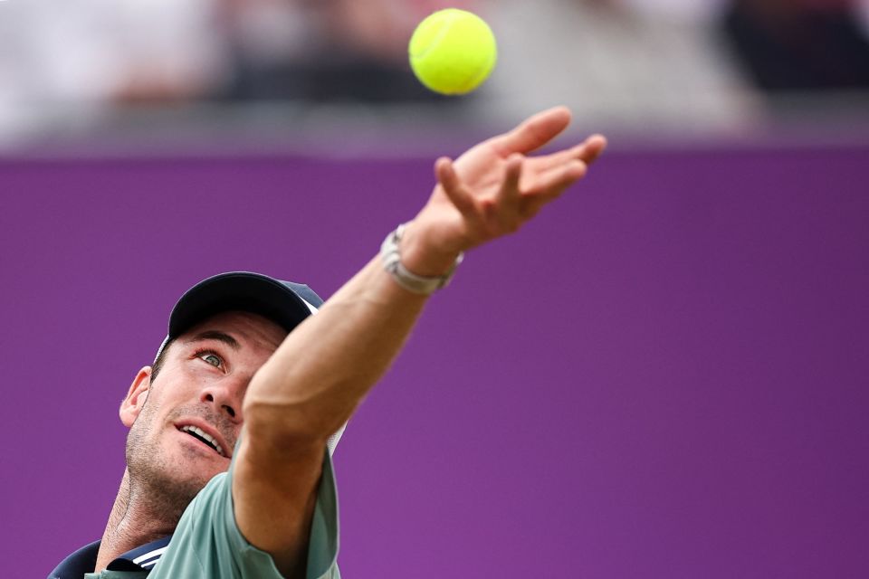 新兴项目如 新兴项目如